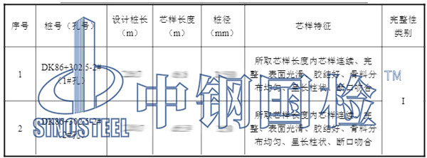 鋼筋混凝土檢測項目結果