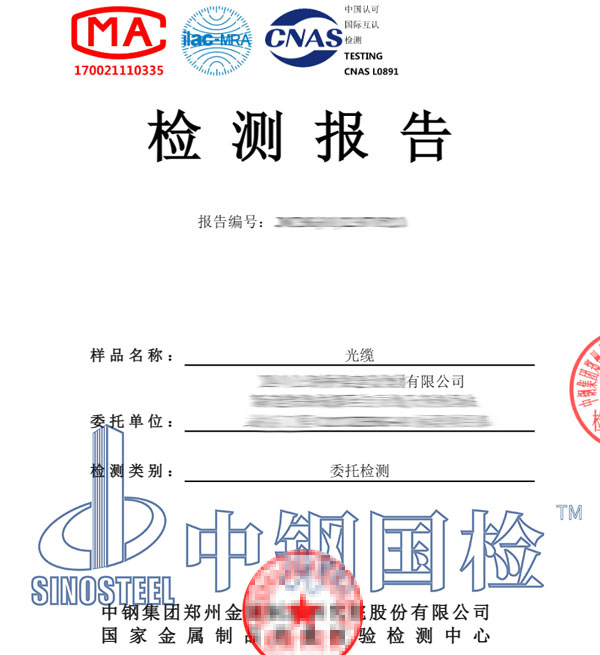 光纜檢測報告